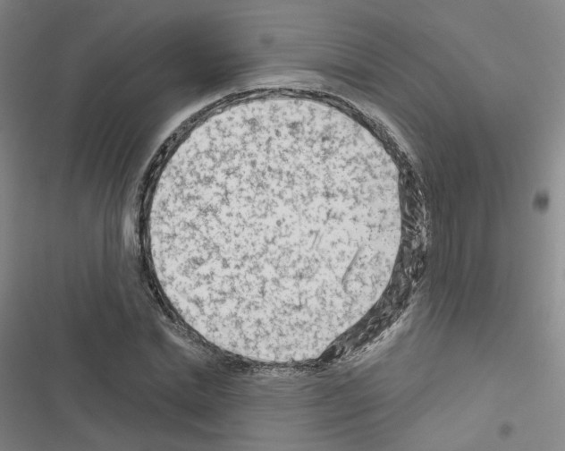 X0000116670830201001251237