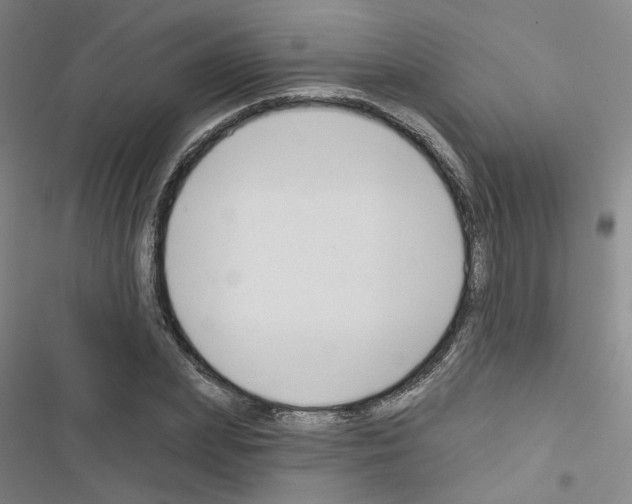 X0000116670831201001251237
