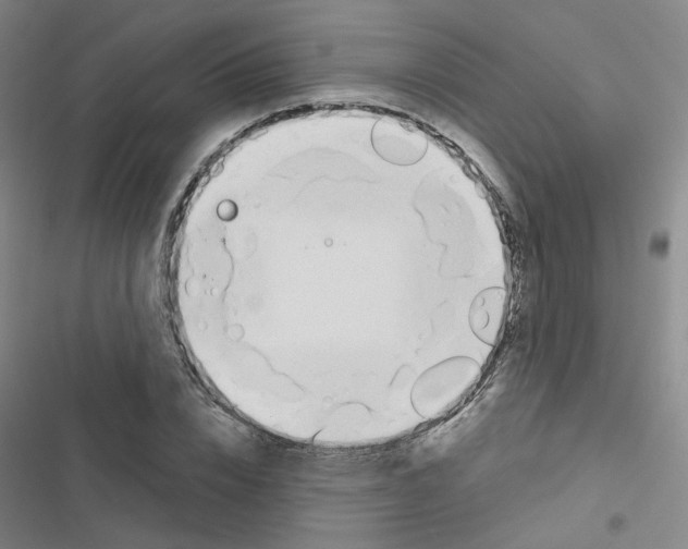 X0000116670832201001251237