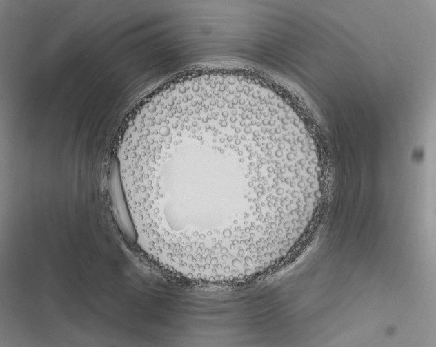 X0000116670833201001251237
