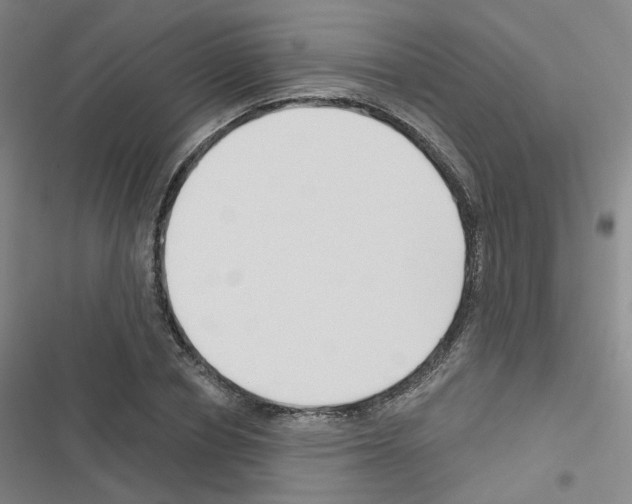 X0000116670834201001251237