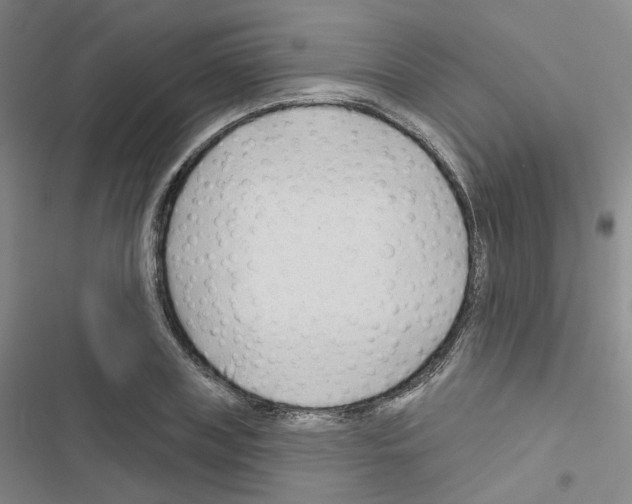 X0000116670835201001251237