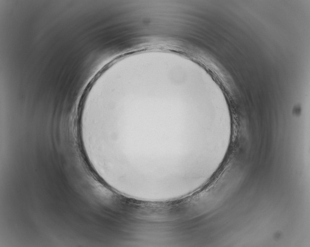 X0000116670836201001251237