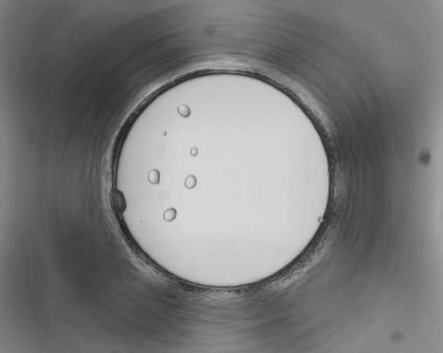 X0000116670837201001251237