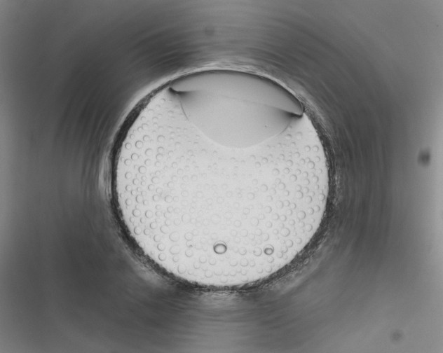 X0000116670838201001251237