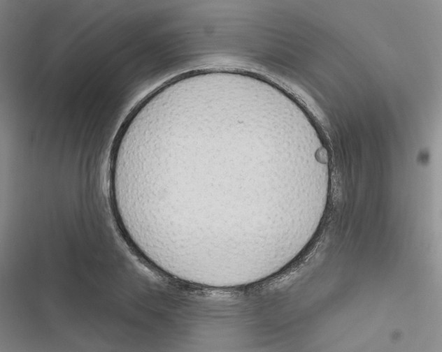 X0000116670839201001251237