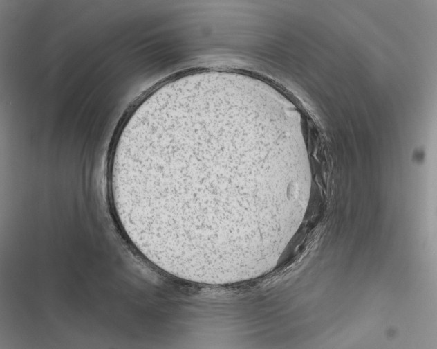 X0000116670840201001251237