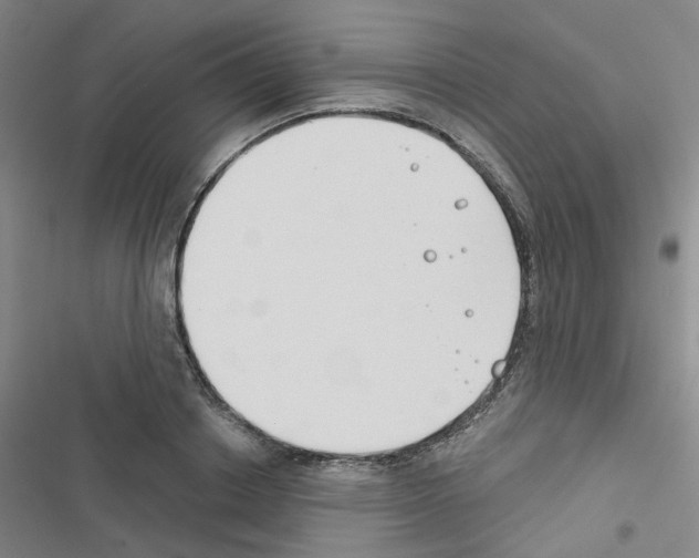 X0000116670842201001251237
