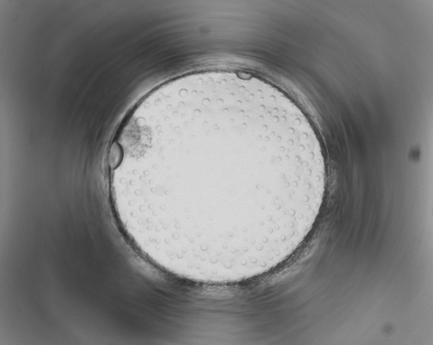X0000116670843201001251237
