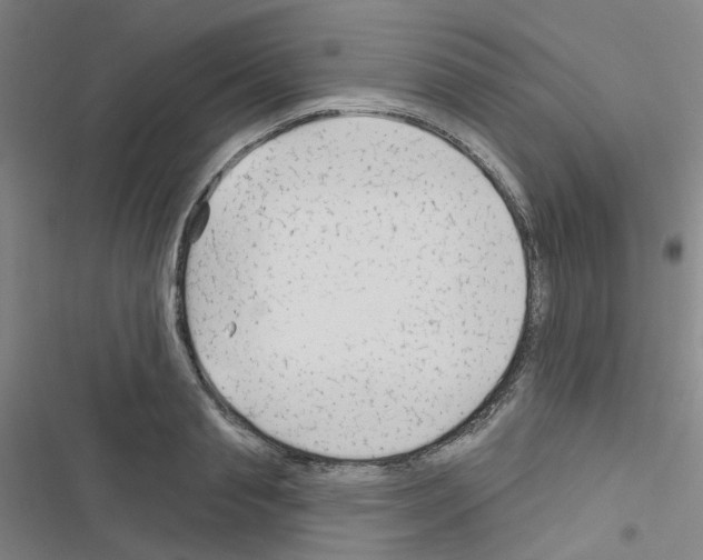 X0000116670845201001251237