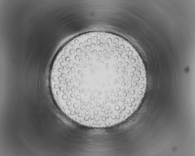 X0000116670846201001251237
