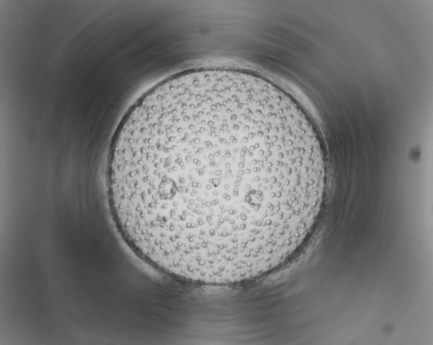 X0000116670847201001251237