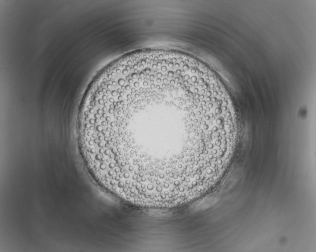 X0000116670848201001251237
