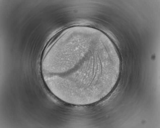 X0000116670850201001251237
