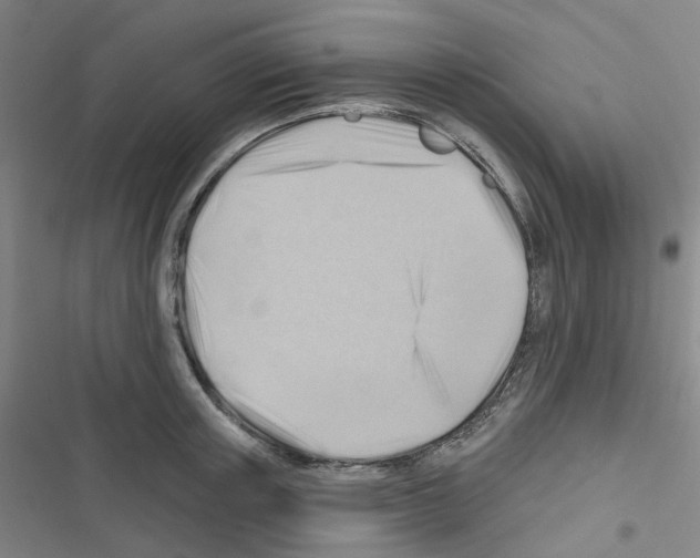 X0000116670851201001251237