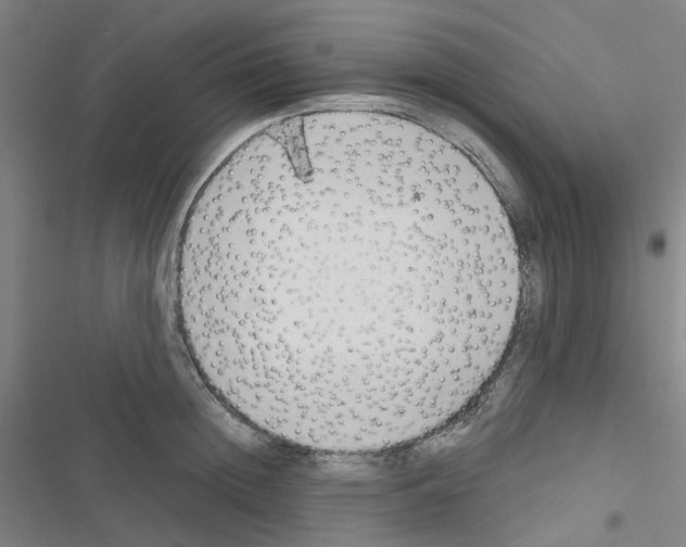 X0000116670852201001251237