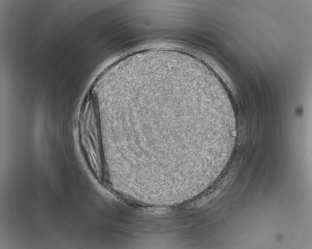 X0000116670853201001251237