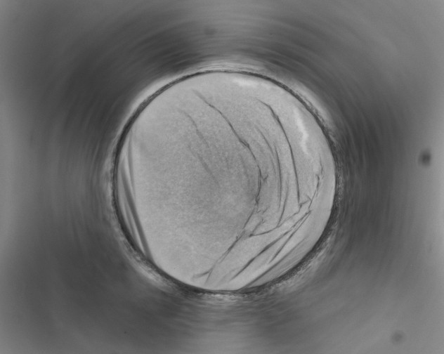 X0000116670854201001251237