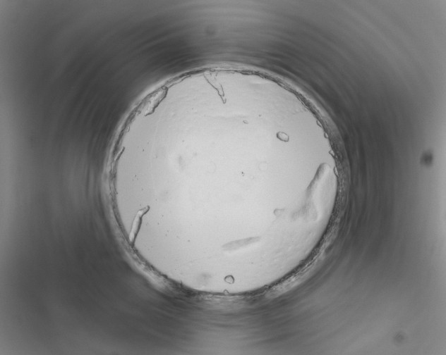 X0000116670856201001251237