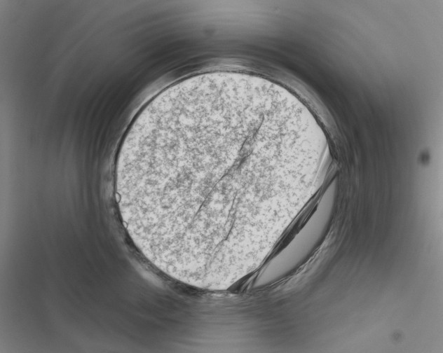 X0000116670858201001251237