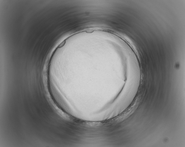 X0000116670859201001251237