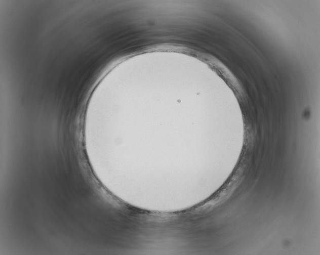 X0000116670860201001251237