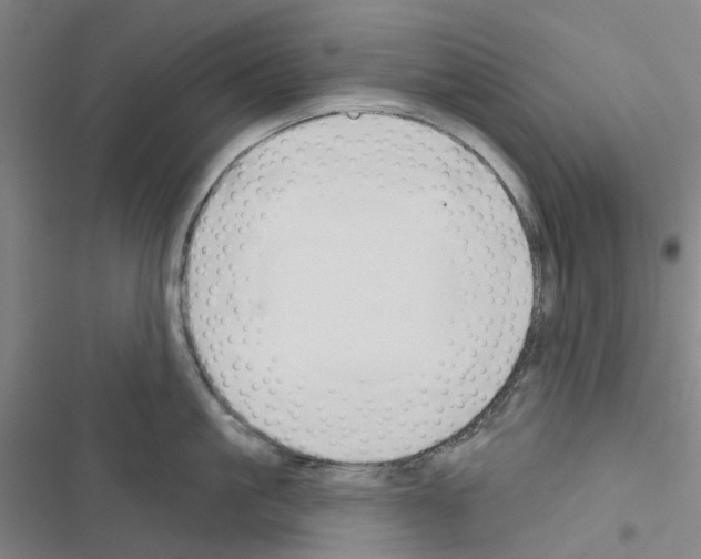 X0000116670861201001251237