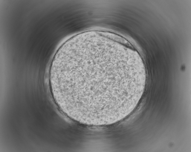 X0000116670862201001251237