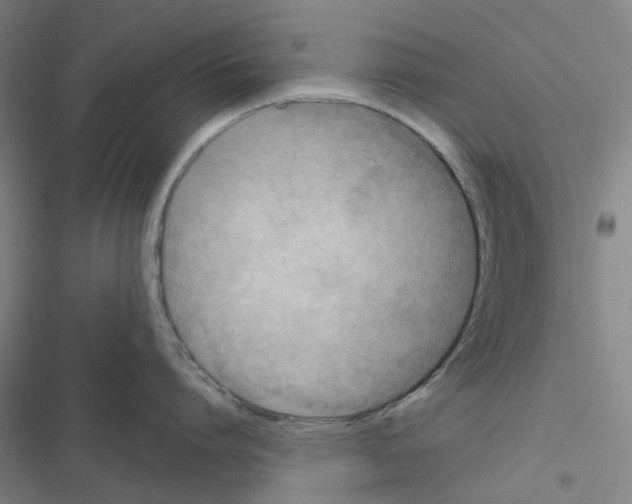 X0000116670864201001251237