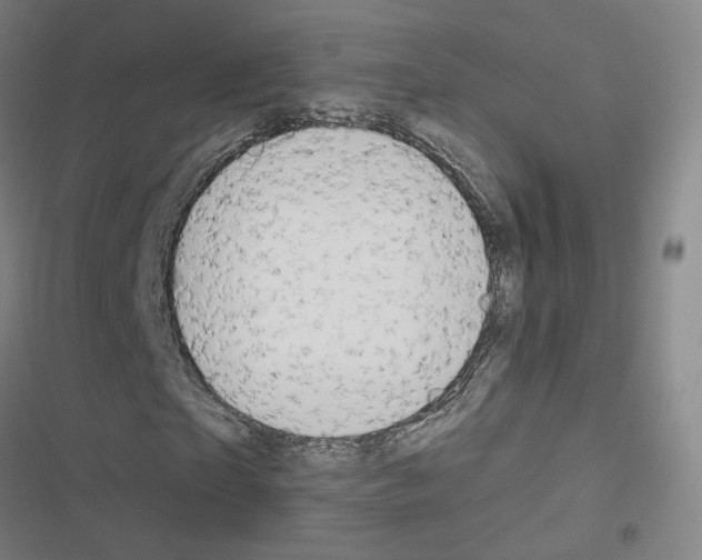 X0000116670865201001251237