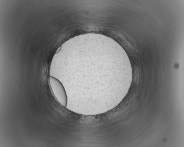 X0000116670866201001251237
