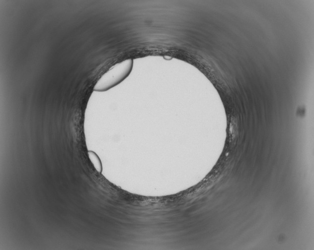 X0000116670867201001251237