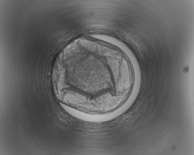 X0000116670868201001251237