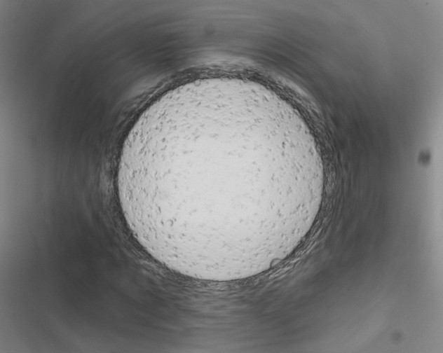X0000116670869201001251237