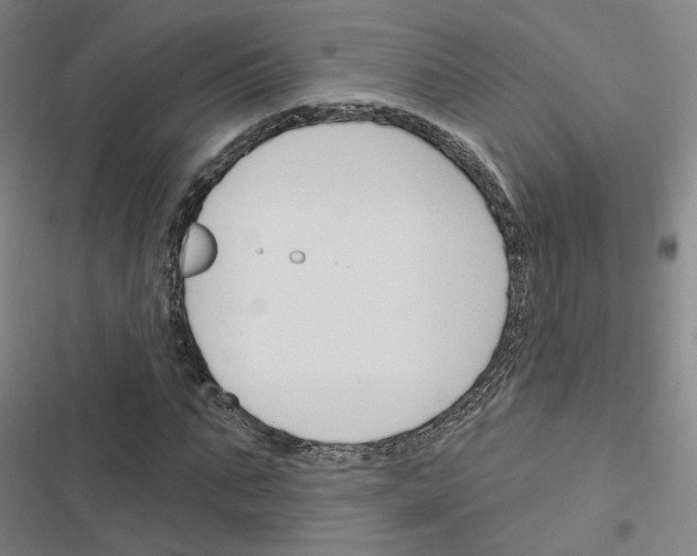 X0000116670871201001251237