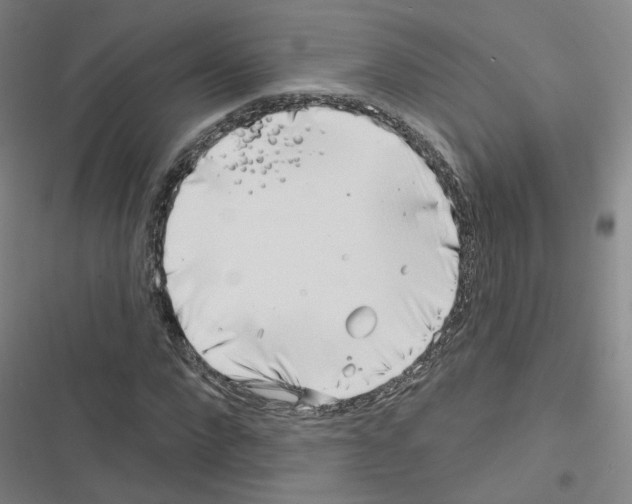X0000116670872201001251237