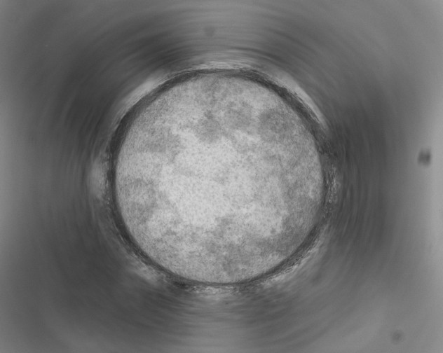 X0000116670874201001251237