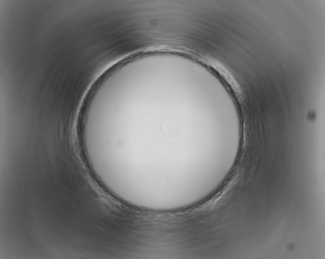 X0000116670876201001251237