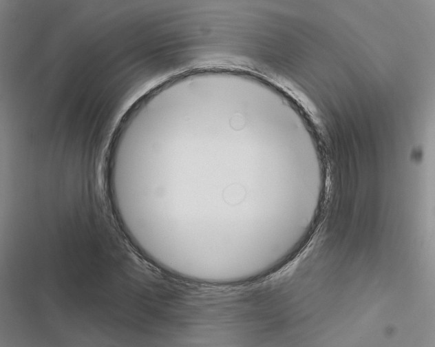 X0000116670877201001251237
