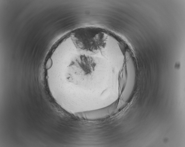X0000116670879201001251236