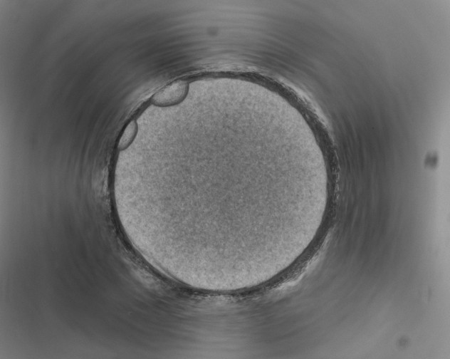 X0000116670881201001251236