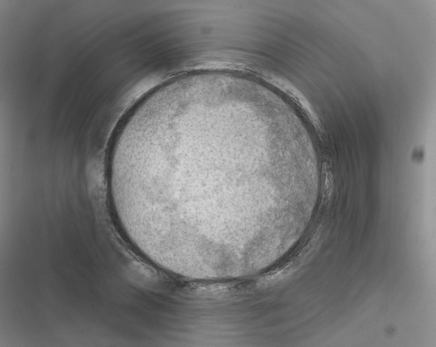X0000116670882201001251236