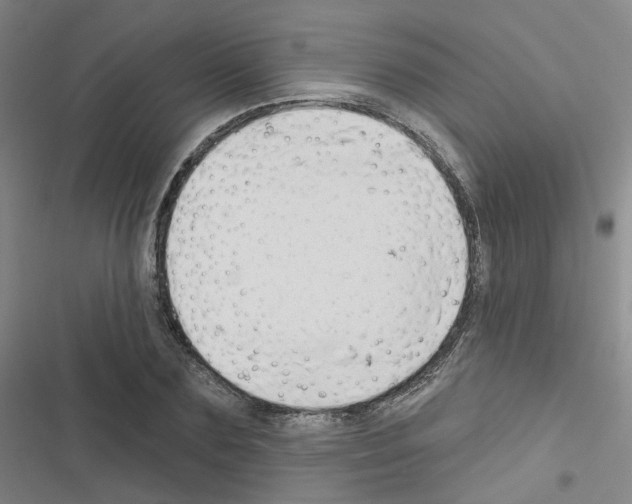 X0000116670883201001251236