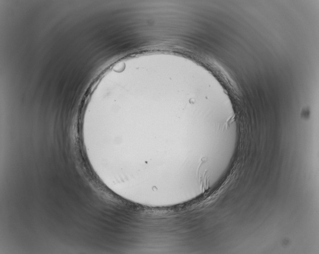 X0000116670884201001251236