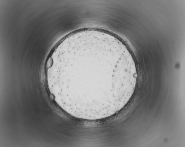 X0000116670887201001251236