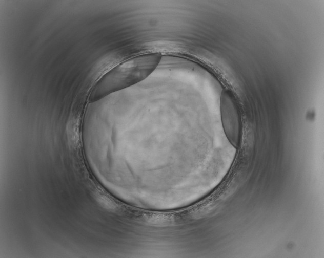 X0000116670889201001251236