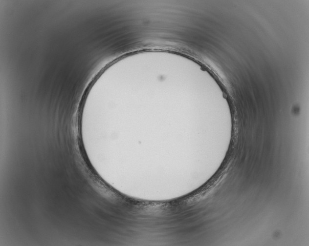 X0000116670891201001251236