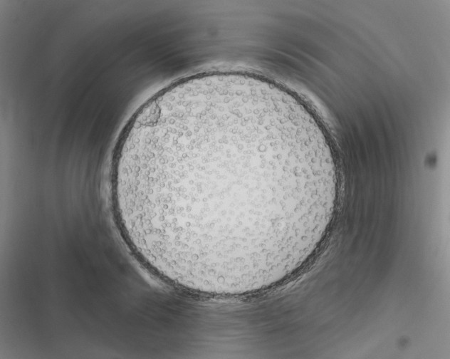 X0000116670894201001251236