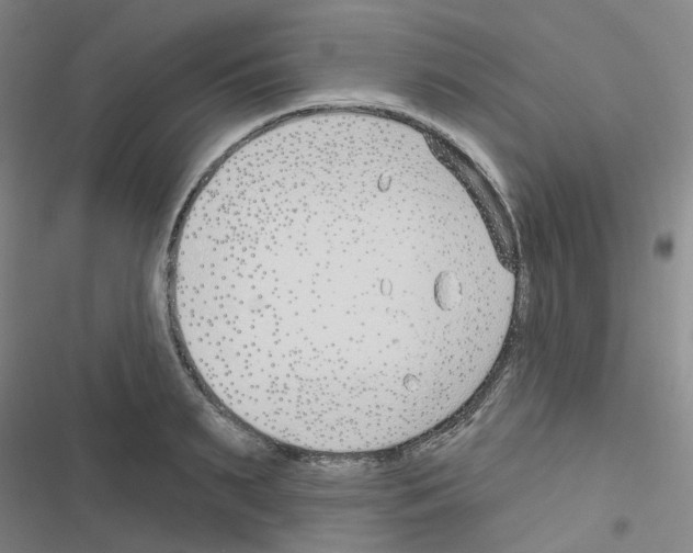 X0000116670895201001251236