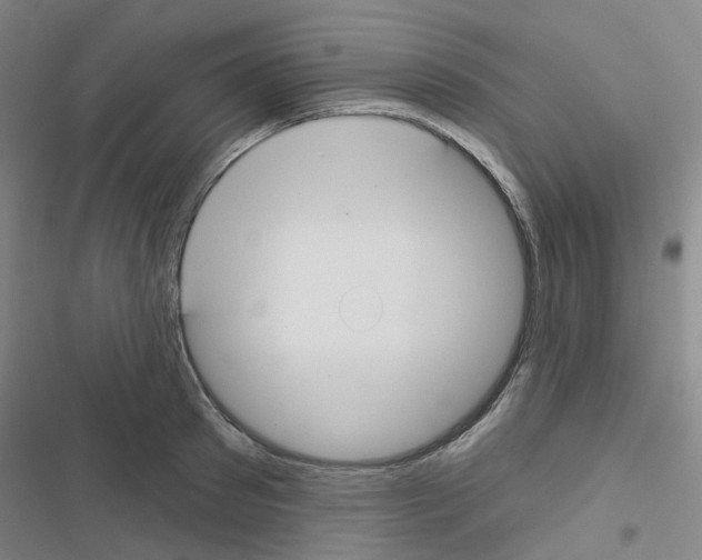 X0000116670897201001251236